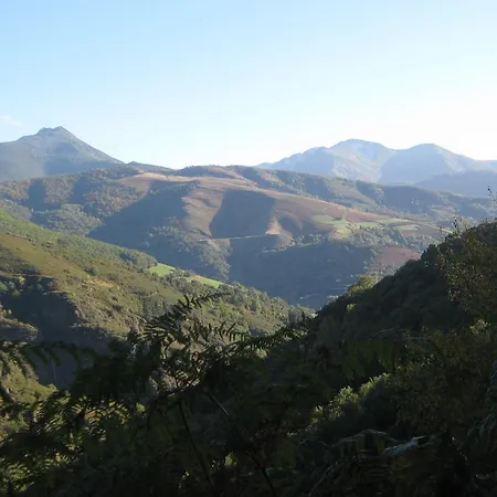 Rurales Cibuyo