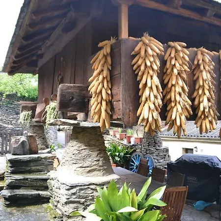 Rurales Cibuyo Daire