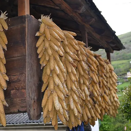 Rurales Cibuyo * Cangas De Narcea